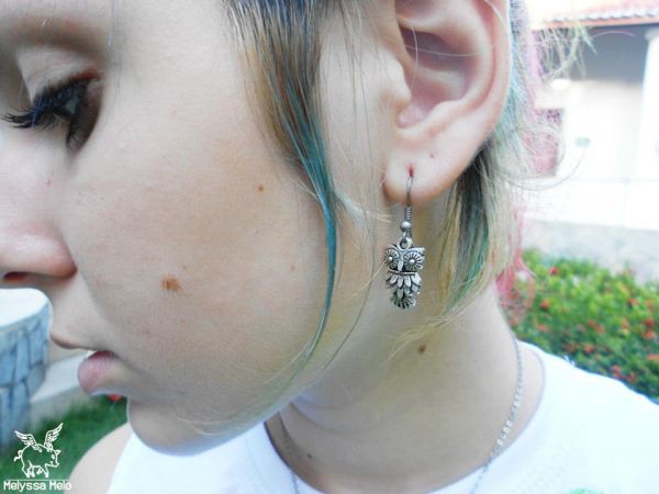 Brincos de Corujinha